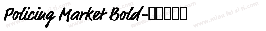 Policing Market Bold字体转换